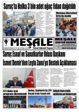MEŞALE