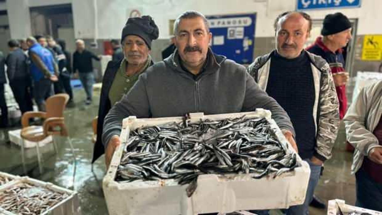 Balık mezadında kasalar dolusu hamsi kapış kapış satıldı