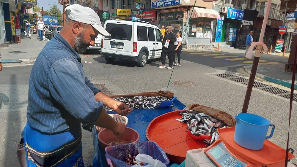 Hamsi bollaştı: Kilosu 50 lira