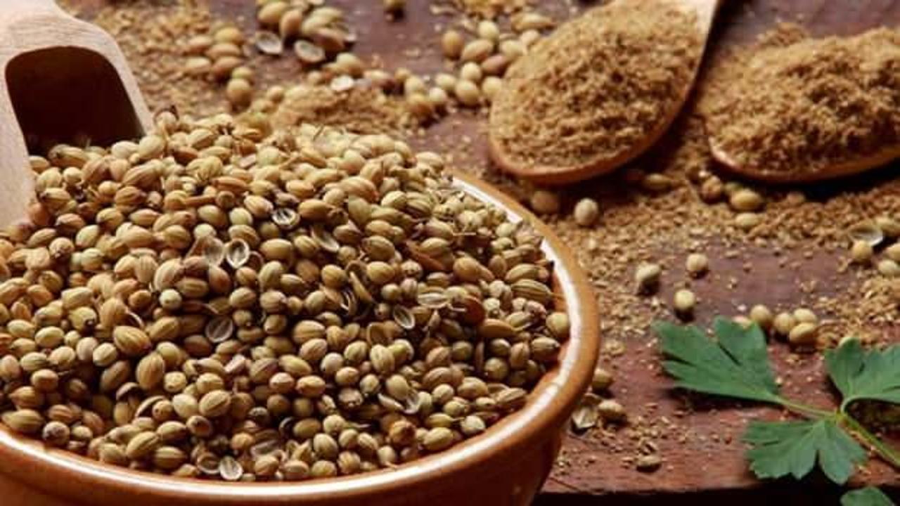 Kişniş otu nerelerde, nasıl kullanılır? Kişniş otunun mucizevi faydaları!