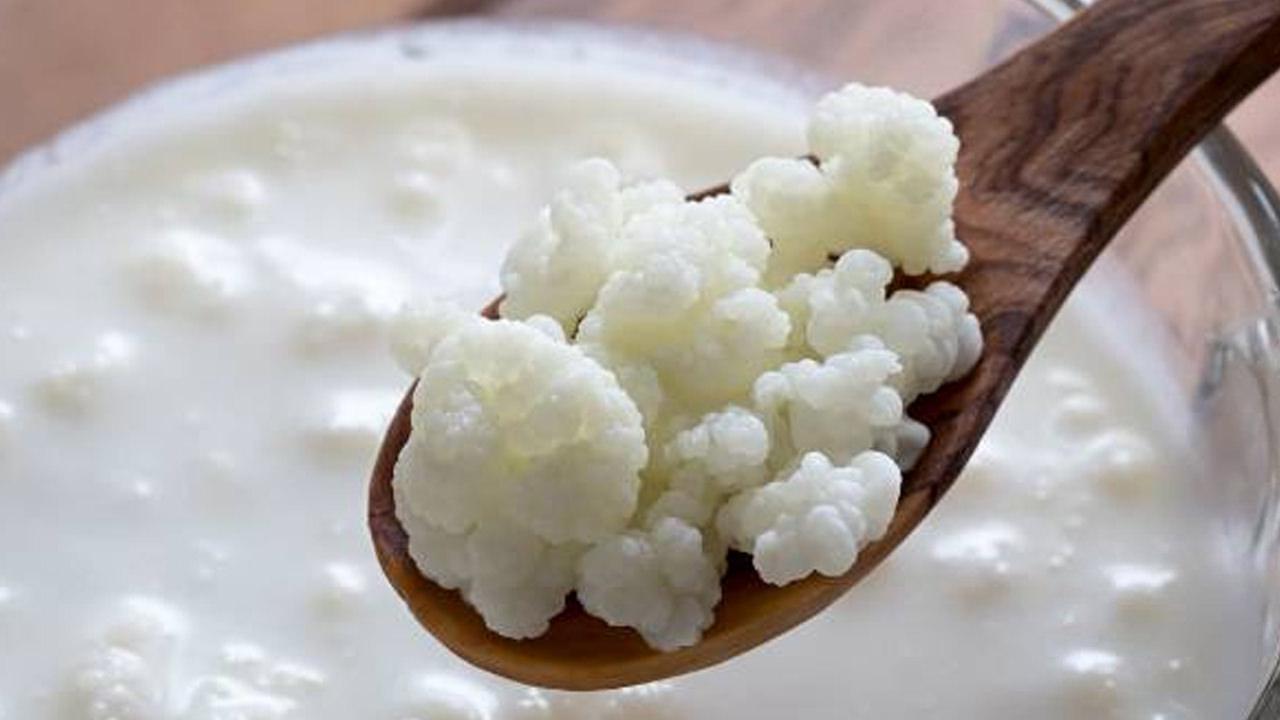 Sabah aç karnına kefir içmenin faydaları nedir? Her gün kefir içmek, laktozsuz kefir nasıl tüketilir?