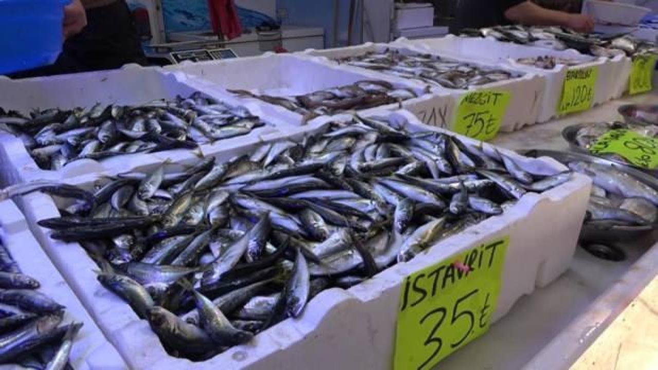 Balıkçıların tek umudu denizlerin soğuması!