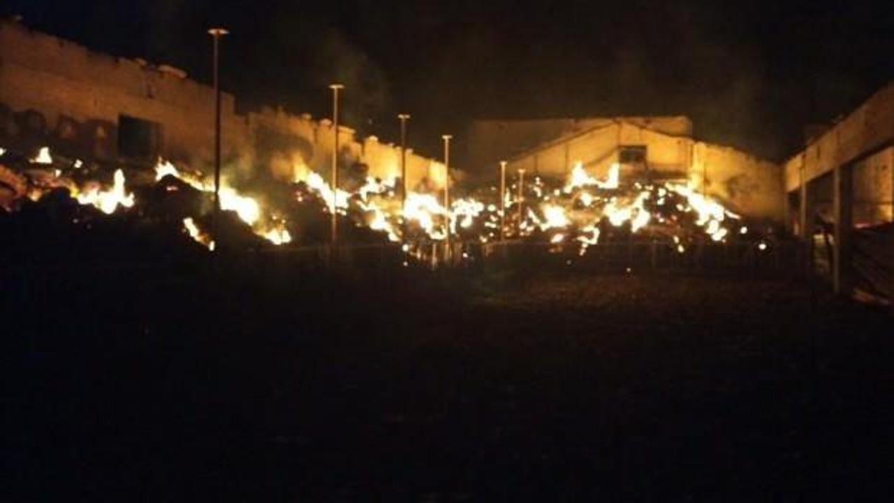 Çorum’da köy yangını! Alevler bir anda sardı