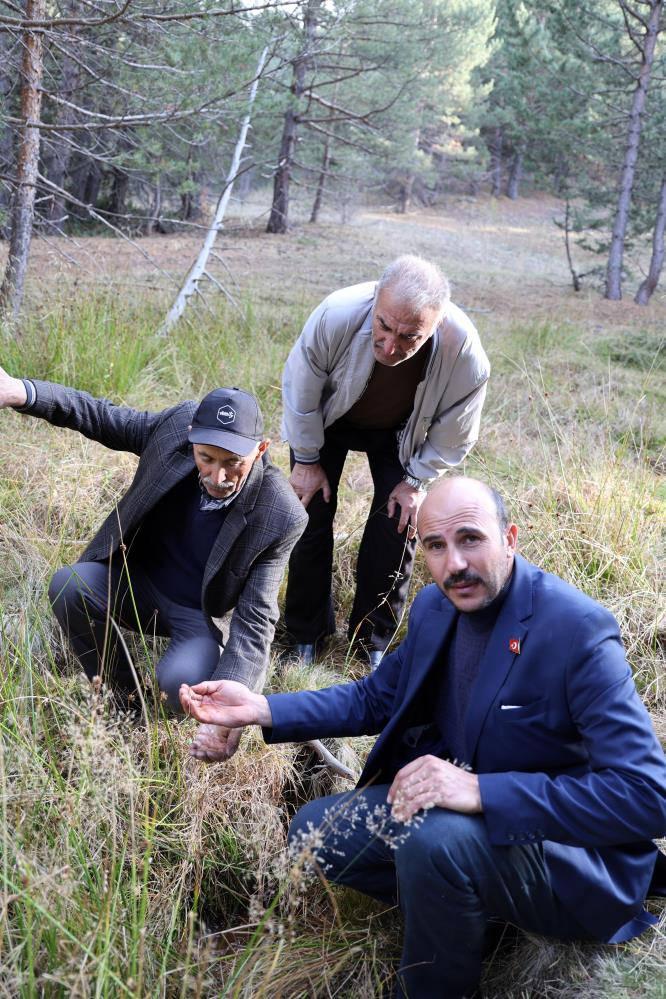 Yiğidoların diyarında petrol heyecanı! Her yerden fışkırıyor