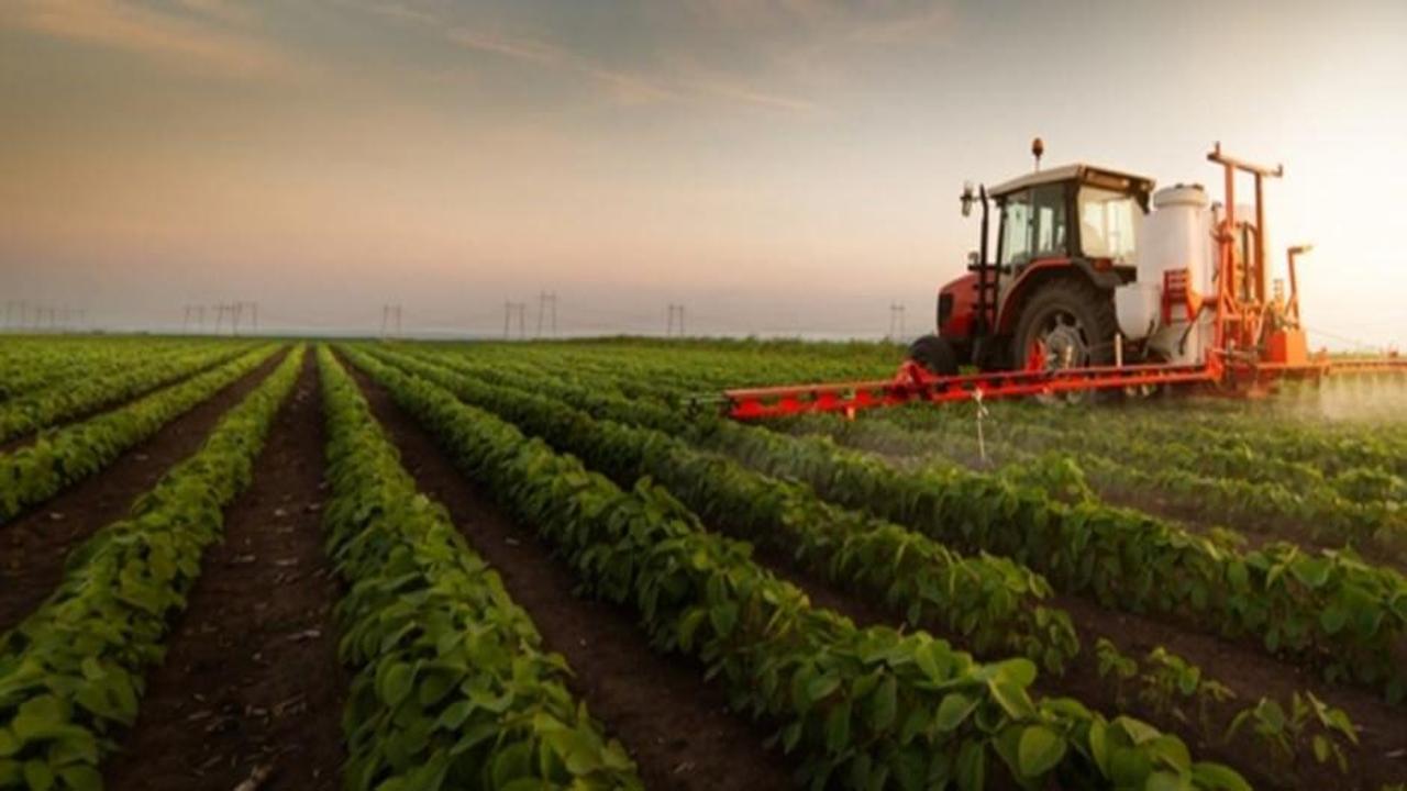 Bakan açıkladı! Çiftçilere destek ödemeleri bugün hesaplarda