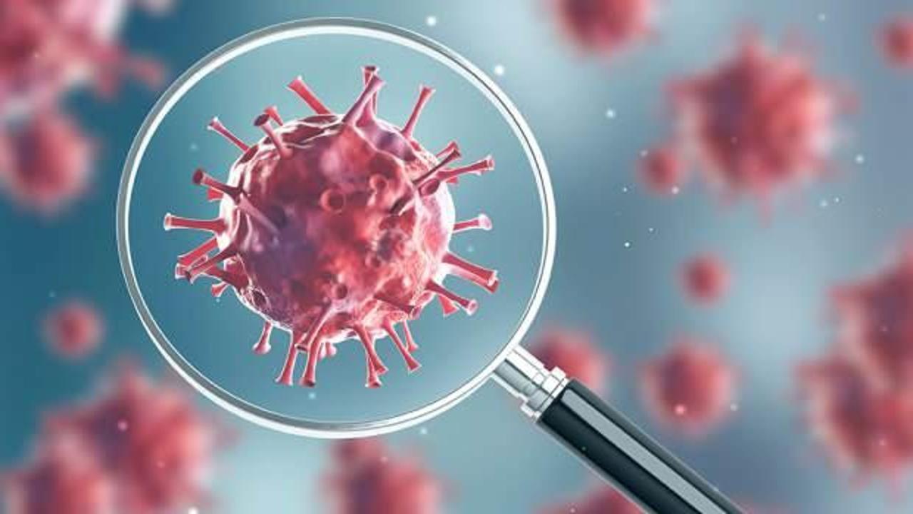 Endişelendiren virüs: İlk kez bir insanda görüldü