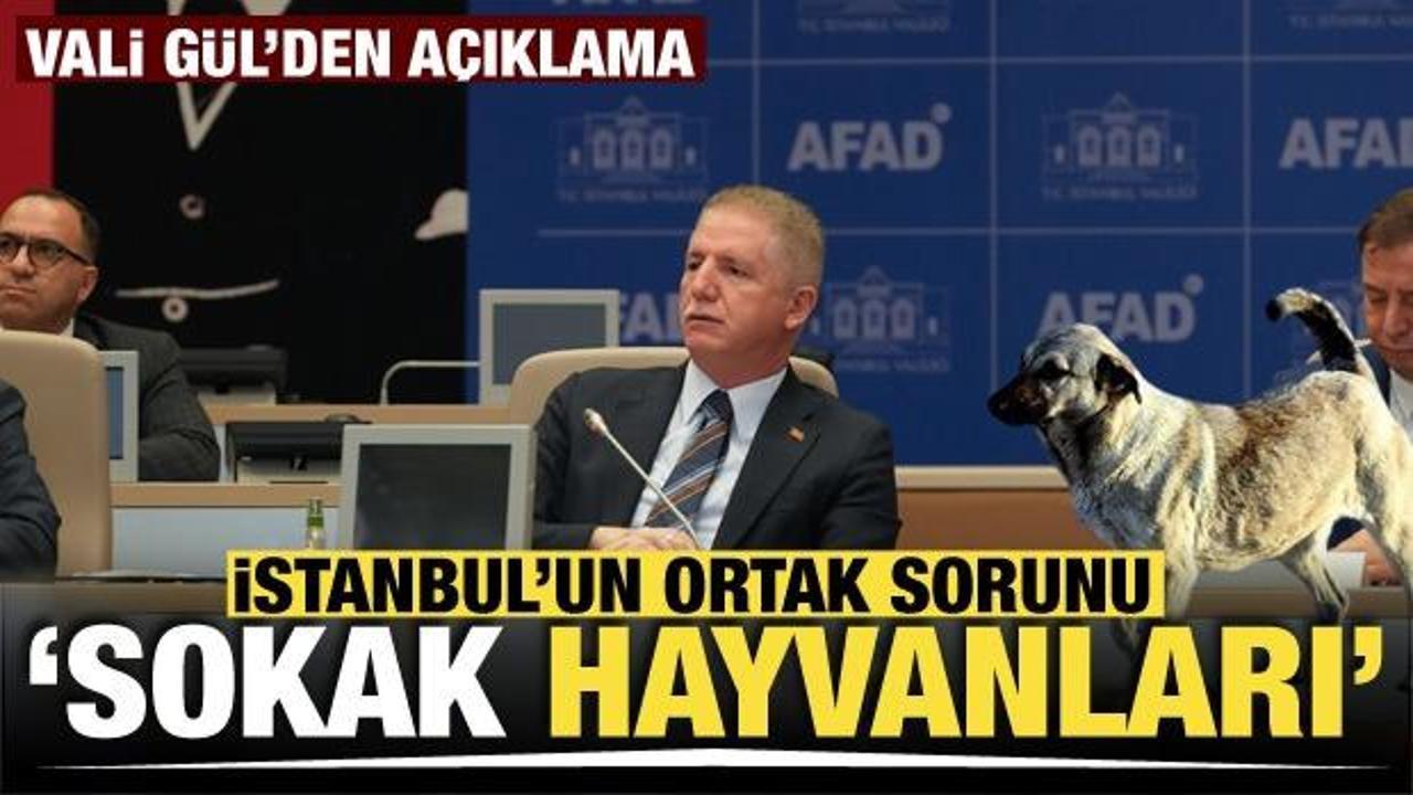 İstanbul Valisi: “İstanbul’un ortak sorunu, sokak hayvanları”