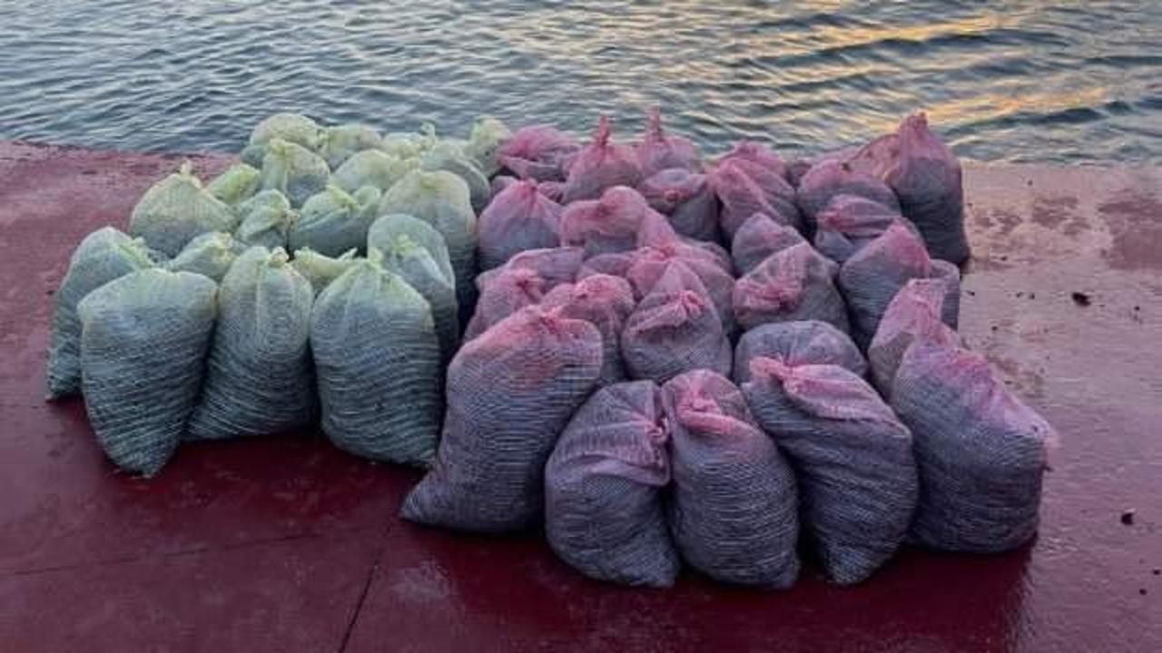 İstanbul’da kaçak midye operasyonu! Bir ton ele geçirildi