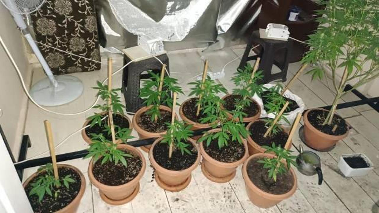 İzmir’de zehir tacirlerine baskın