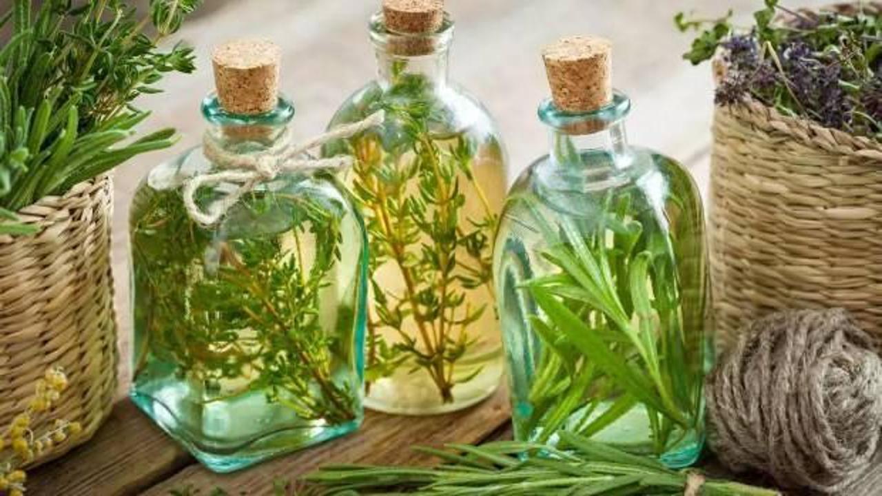 Kremlerden çok daha etkili! Ağrıları kesen o bitkisel yağ…