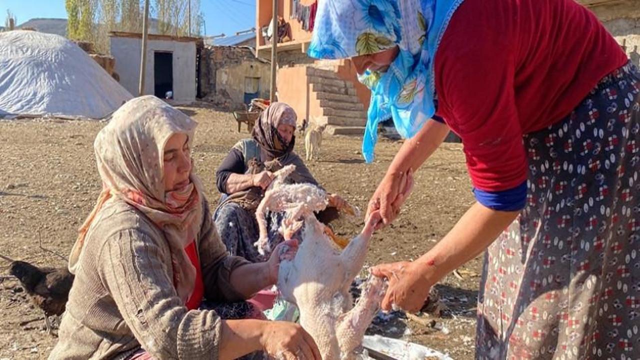 Mesai başladı! Kars kazlarının tanesi 1200 TL