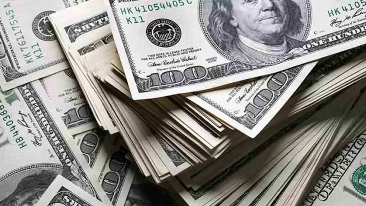 Vatandaşlar 481,4 milyon dolarlık döviz aldı