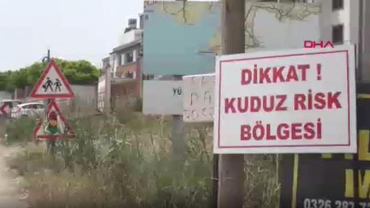 Hatay’da kuduz alarmı: 2 mahalle karantinaya alındı