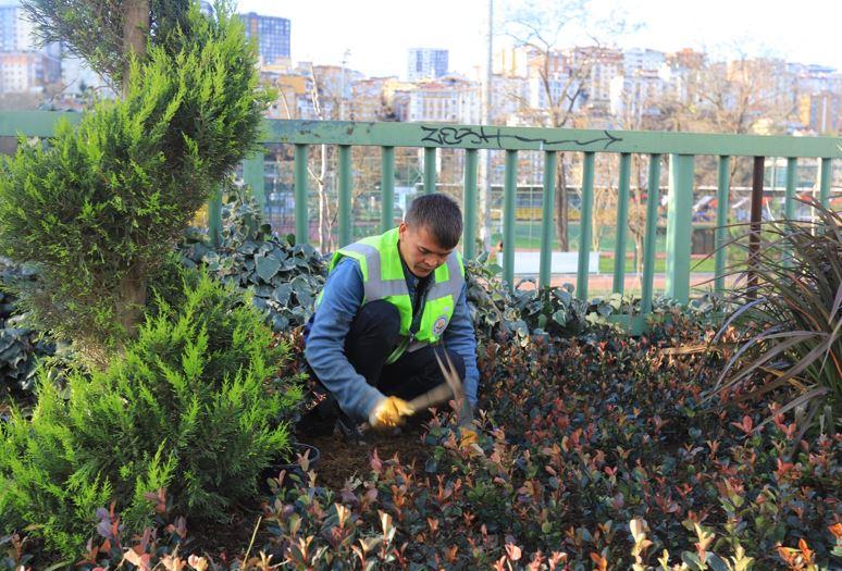 Kâğıthane Belediyesi ilçeye 60 bin ağaç kazandırdı