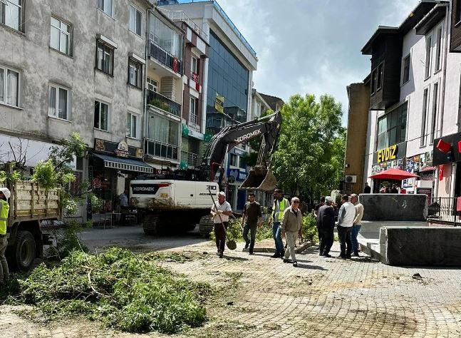 İstanbul'da ağaç katliamı! Esnaf ve vatandaş tepki gösterdi