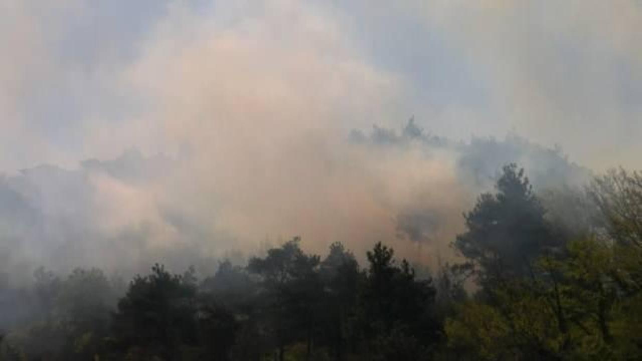Bursa’da orman yangını