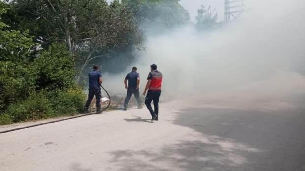 Defne’de ağaçlık alanda çıkan yangın söndürüldü