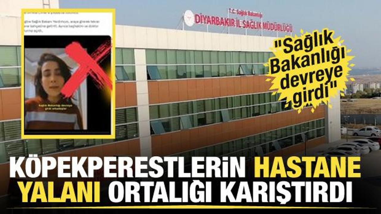Diyarbakır’da hastane binasında başıboş köpekler için barınak iddiasına yalanlama