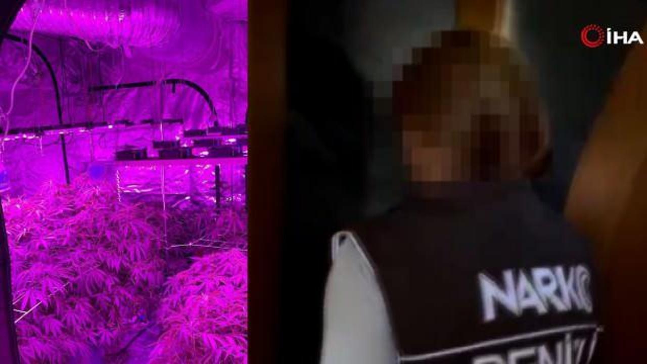 Kapıyı açan narkotik polisi bu manzara karşıladı: Mor bir ışık…