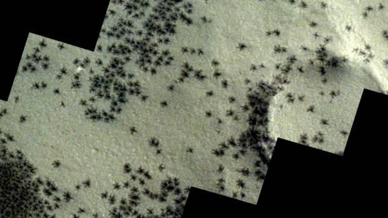 Mars zemininde örümceğe benzeyen madde toplulukları gözlemlendi