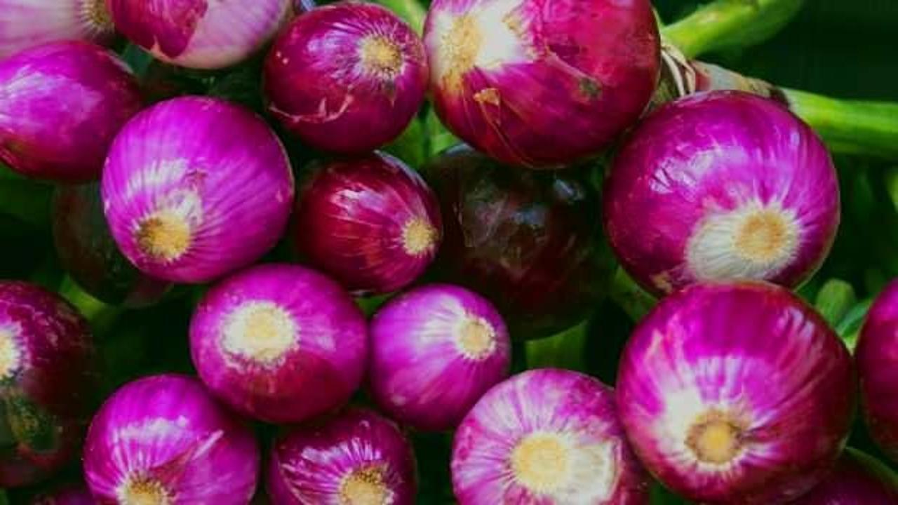 Mor soğan kaynatıp içmenin faydaları: Mor soğanın geçirdiği hastalıklar!