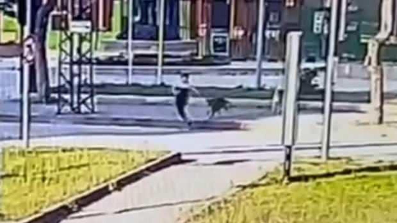 Sahipsiz köpeklerden kaçarken otomobilin çarptığı kadın yaralandı