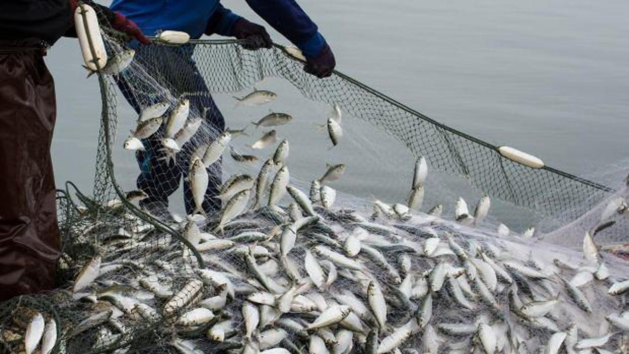 Su ürünleri ihracatında hedef 2 milyar dolar!