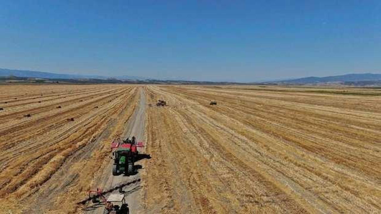 Tarımsal üretimde yapay zeka desteği artırılacak