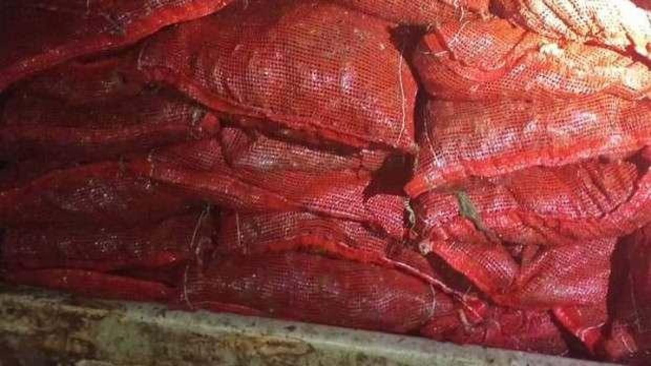Yalova’da denizden kaçak toplanan 1 ton 150 kilo midye ele geçirildi