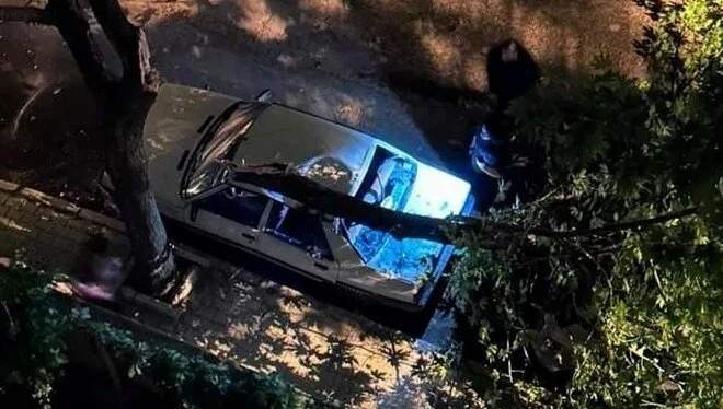 Elazığ’da Fırtına Araçların Üzerine Ağaç Devrildi