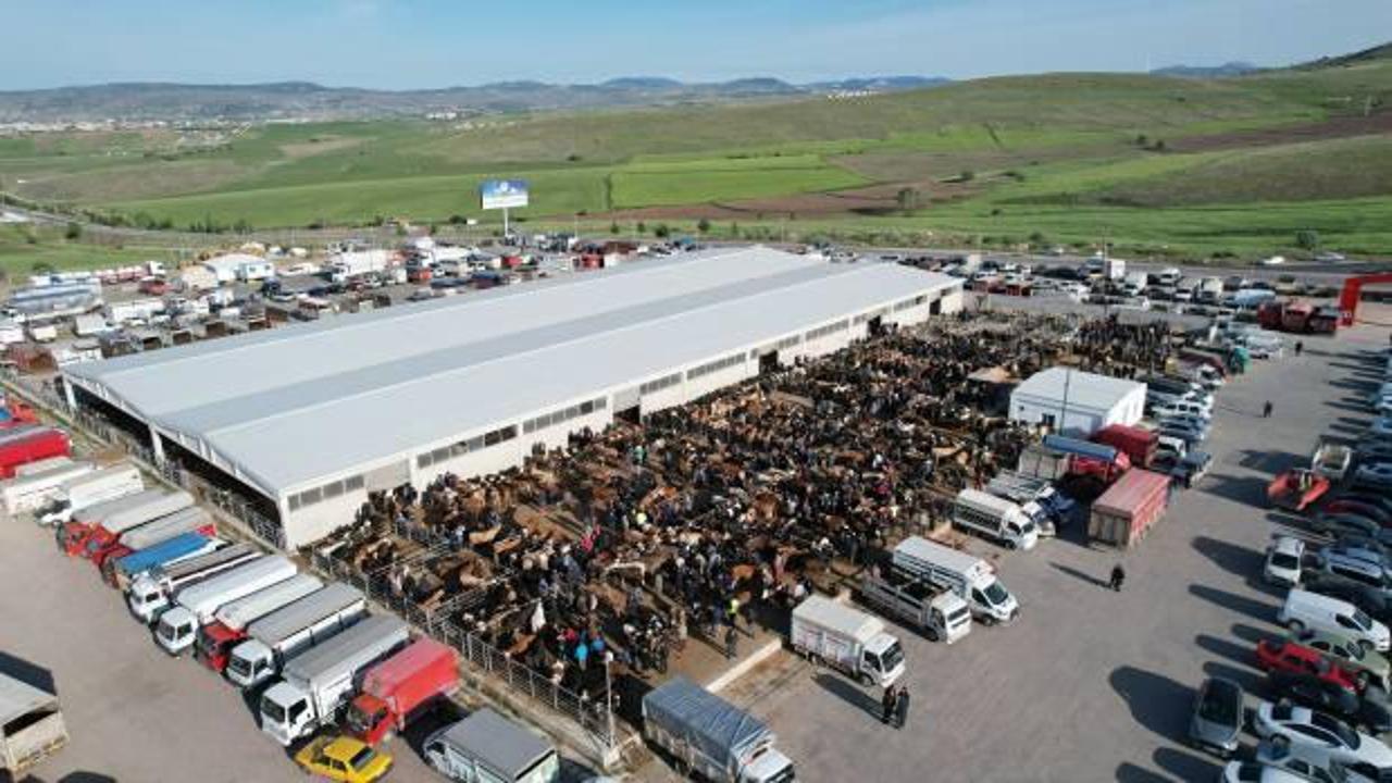 Ankara’da kurbanlık satışları başladı