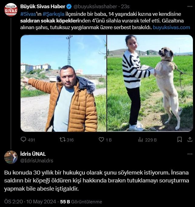 Yargıtay üyesinden kızına saldıran köpekleri vuran babaya destek!