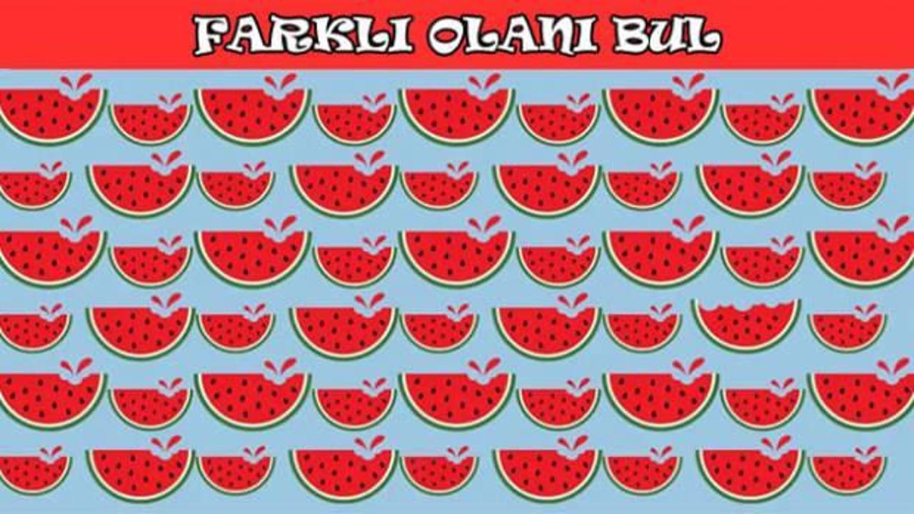 Optik illüzyonlu zeka testi görselinde diğerlerinden farklı olanı bulabilecek kadar iyi bir gözlemci misin?