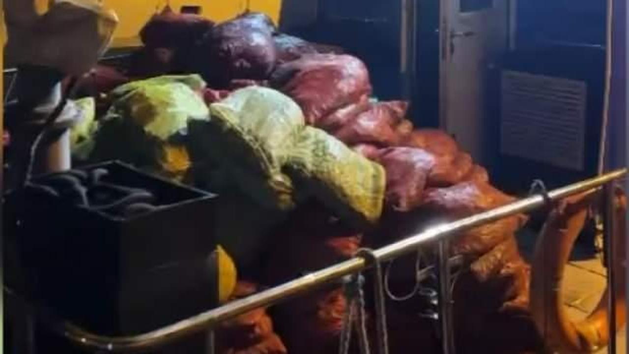 Tuzla’da TIR’a yüklü 8 ton midye ele geçirildi