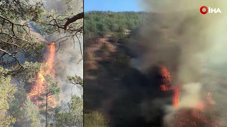 Hatay’da Orman Yangını Kontrol Altına Alındı