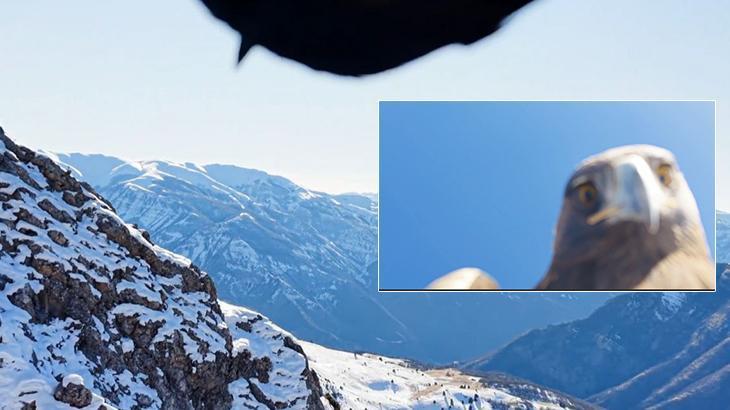 Sultan Baba Dağında Kartal Dronu Kapıp Zirveye Taşıdı